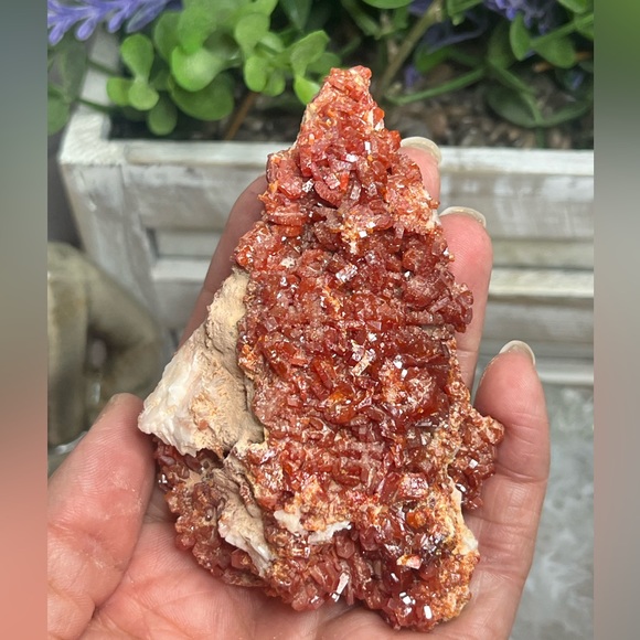Stunning Vanadanite Specimen- Morocco 🇲🇦 - Picture 4 of 9